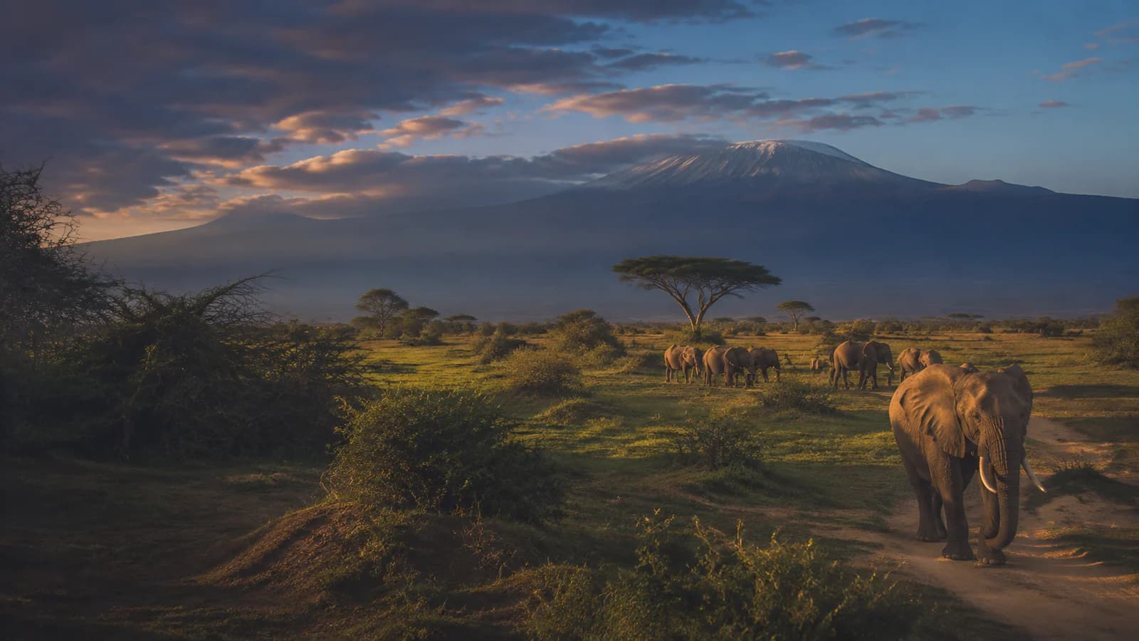 Cinematic TGPI country visual of Kenya, highlighting its landscape, culture and contemporary identity.